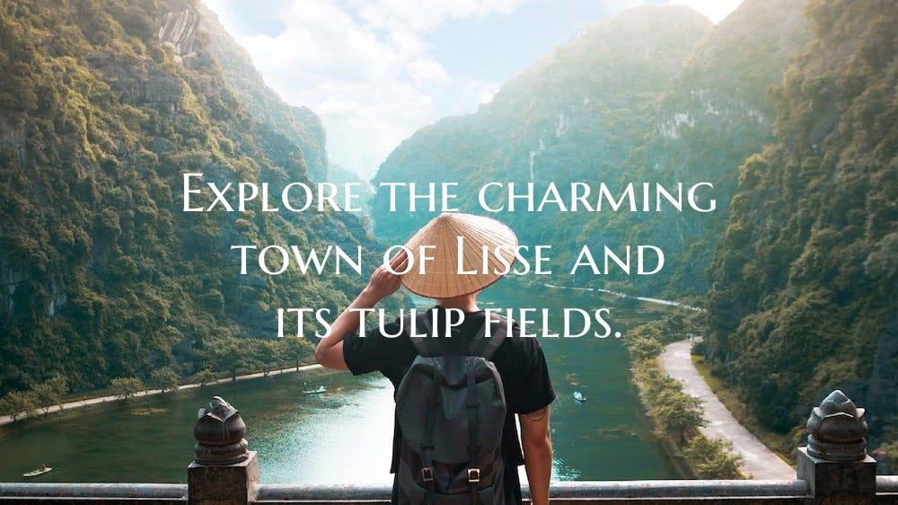 Explore the charming town of Lisse and its tulip f...