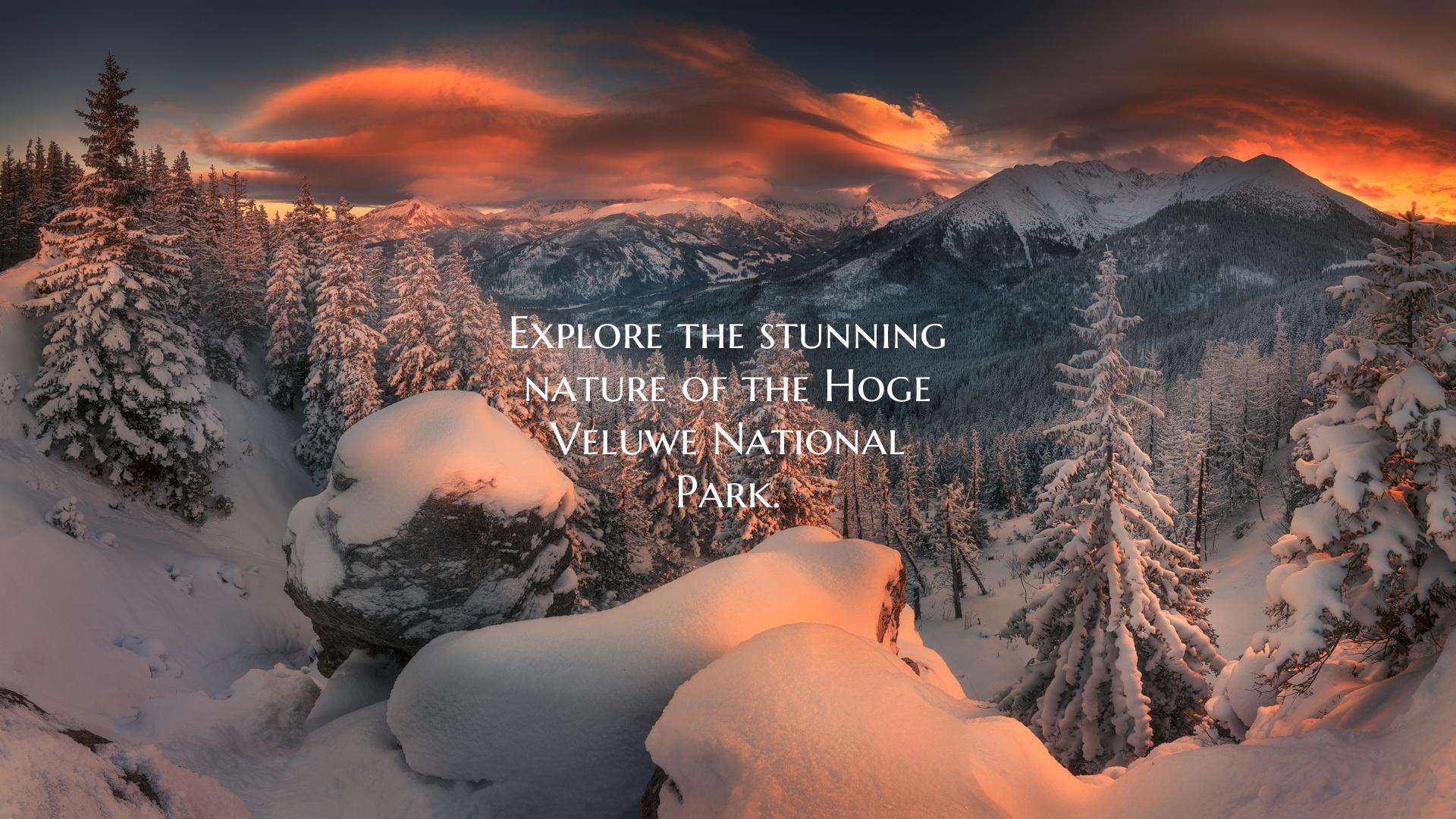 Explore the stunning nature of the Hoge Veluwe Nat...