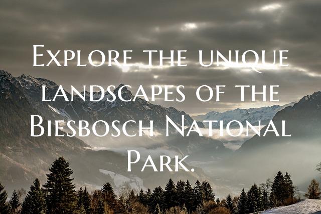 Explore the unique landscapes of the Biesbosch Nat...