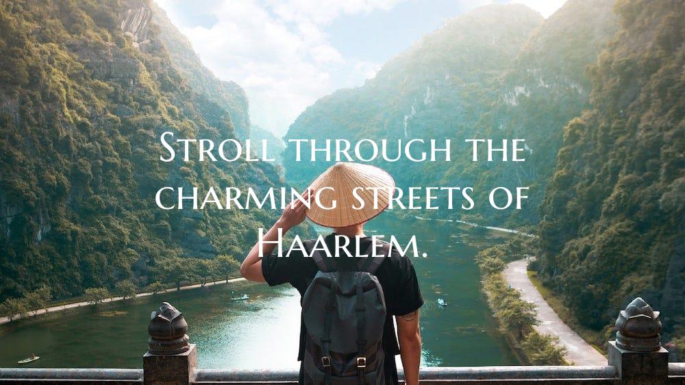 Stroll through the charming streets of Haarlem.